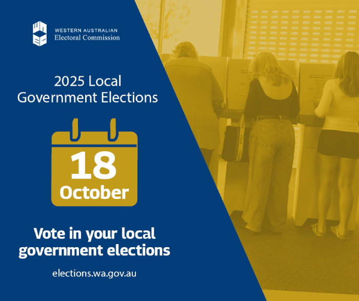 Local Government Elections Image