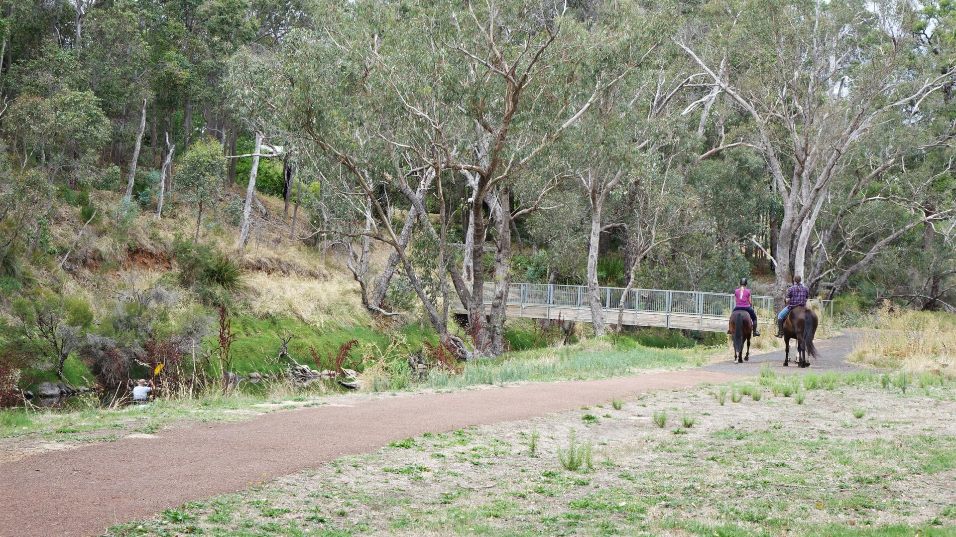 Trails Image