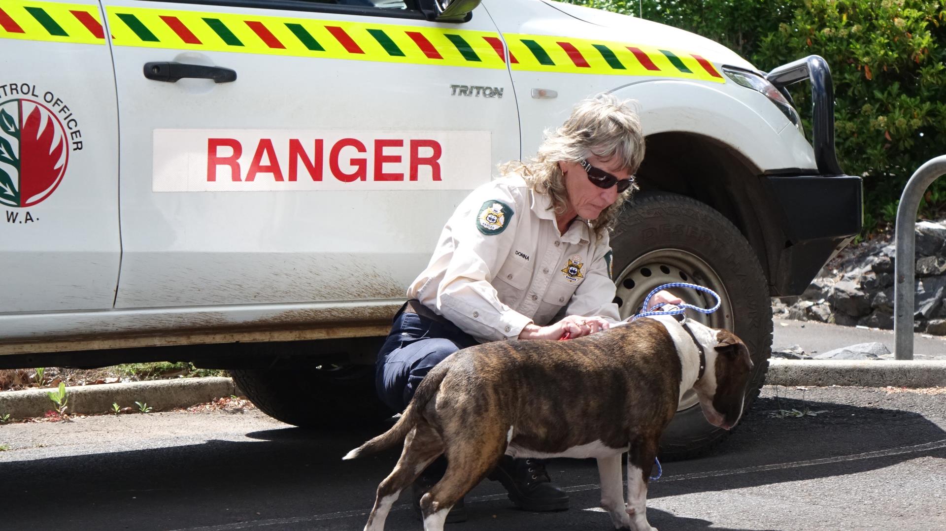 Ranger Image