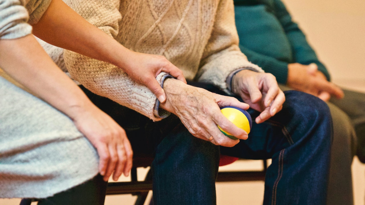 Seniors Image