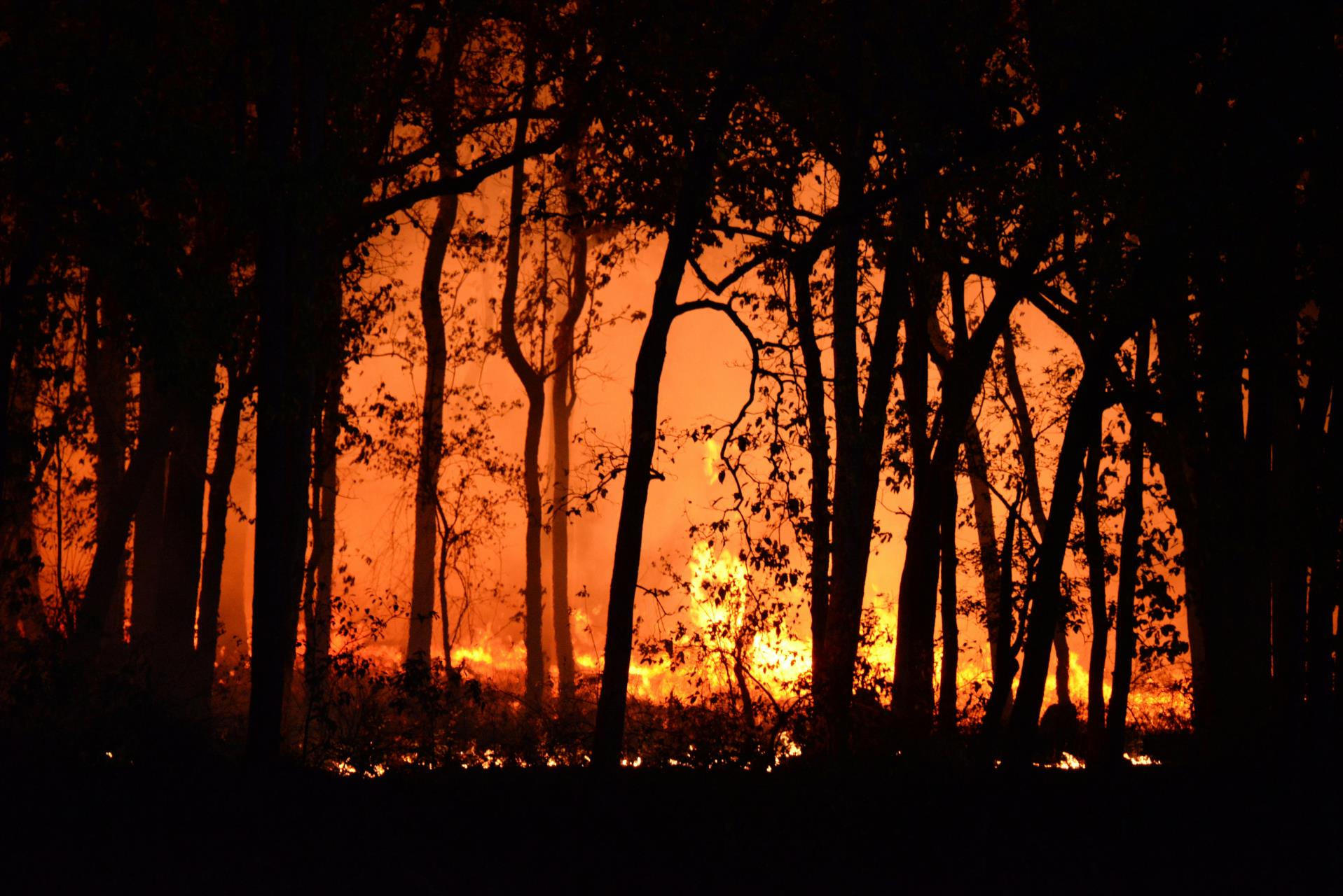 Emergency Services Image