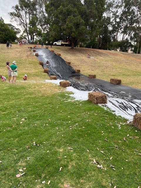 News Story - Christmas in the Park » Shire of Bridgetown-Greenbushes