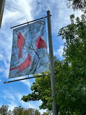 Bridgetown Artist Banners - Alicia Rogerson banner
