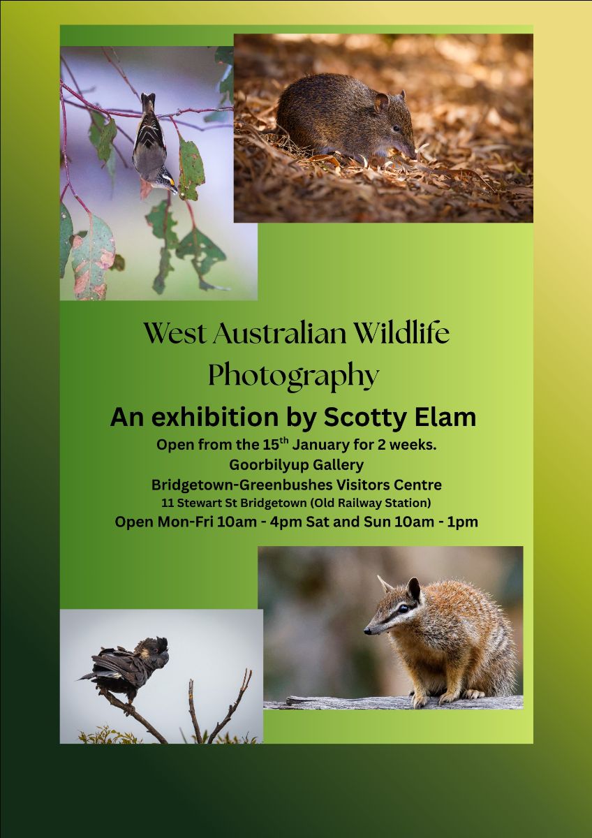 West Australian Wildlife Photography Exhibition - Goorbilyup Hallery