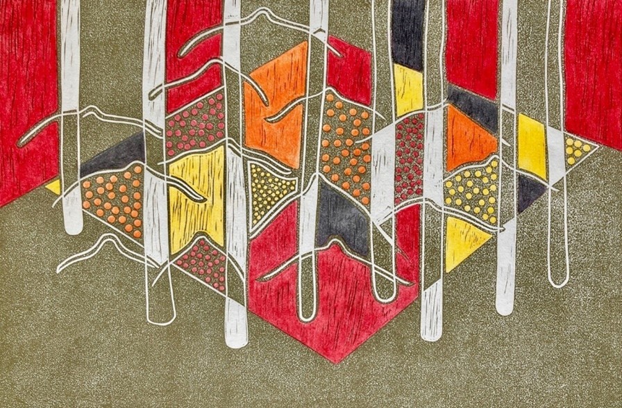 New Artwork Acquisition – Whitegum Lift-off by Christine Latha