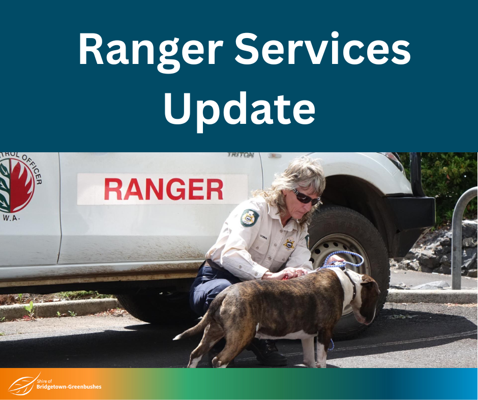 Ranger Services Update