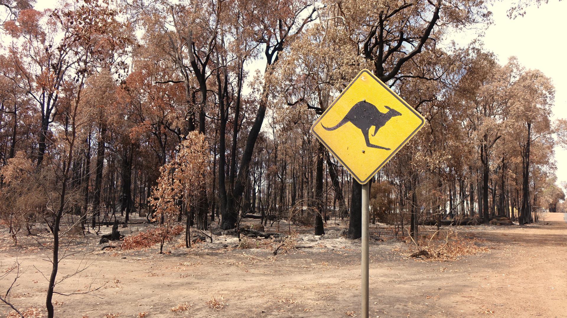 Funds Distributed from Community Bushfire Donations