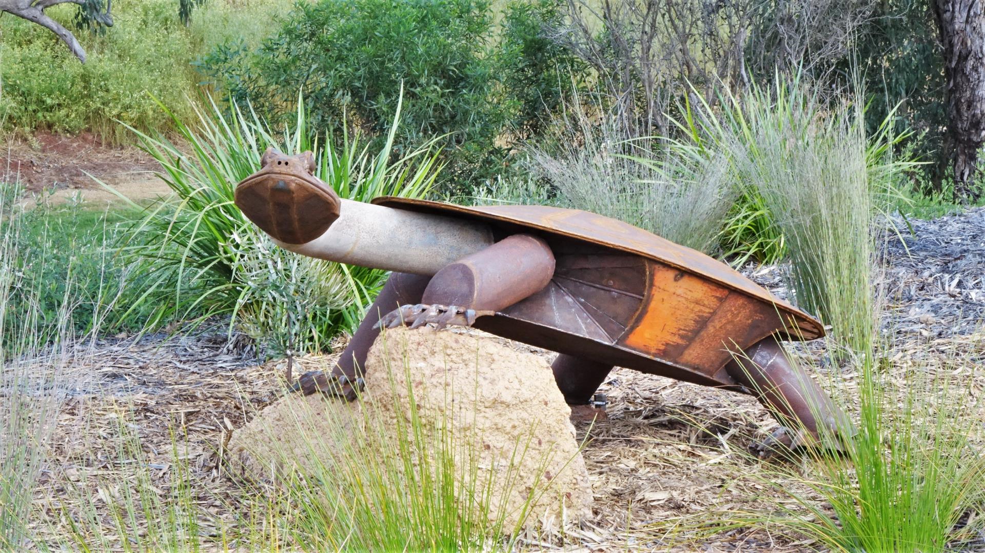 Blackwood Environment Society Partnership Continues