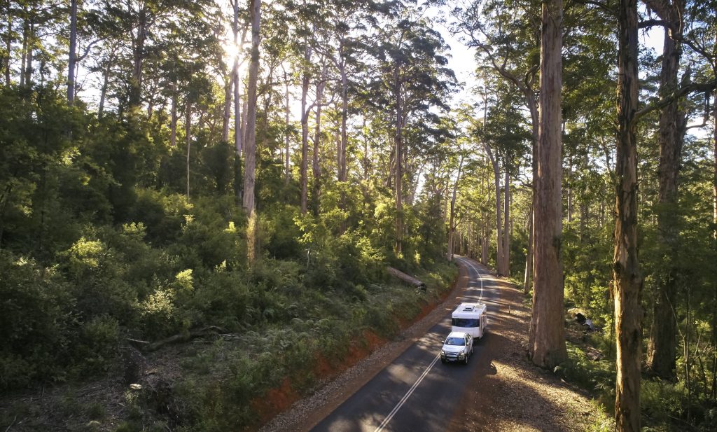 Southern Forests & Valleys Tourism Association Update